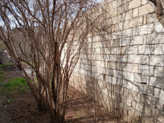 8 sot torpaq satış, Buzovna q., Xəzər r., Bakı ş. / şəkil 2 / 13