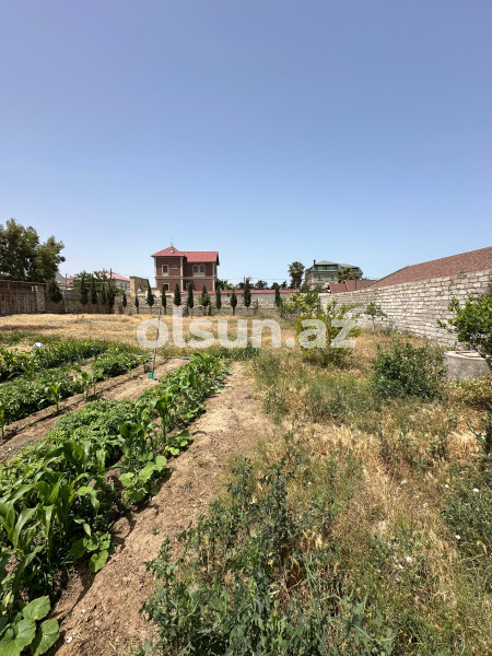 12 sot torpaq satış, Buzovna q., Xəzər r., Bakı ş. / şəkil 1 / 6