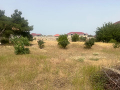 13 sot torpaq satış, Albalılıq q., Sabunçu r., Bakı ş. / şəkil 3 / 6