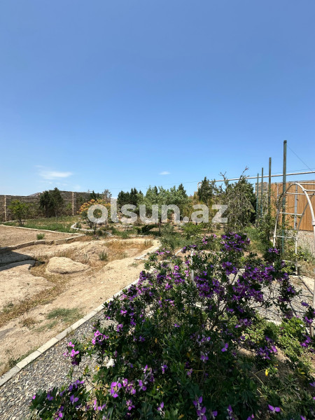 5 otaq 220 m² ev / villa satış, Buzovna q., Xəzər r., Bakı ş. / şəkil 1 / 14