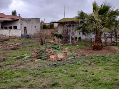15 sot torpaq satış, Buzovna q., Xəzər r., Bakı ş. / şəkil 5 / 16