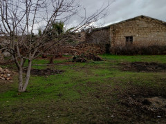 14.9 sot torpaq satış, Buzovna q., Xəzər r., Bakı ş. / şəkil 4 / 14