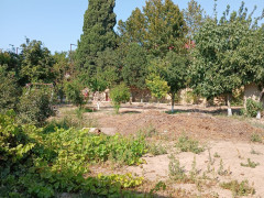 5.5 sot torpaq satış, Buzovna q., Xəzər r., Bakı ş. / şəkil 1 / 8