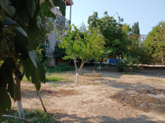 5.5 sot torpaq satış, Buzovna q., Xəzər r., Bakı ş. / şəkil 5 / 8