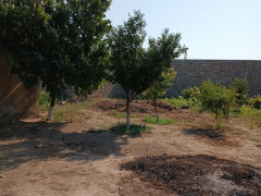 5.5 sot torpaq satış, Buzovna q., Xəzər r., Bakı ş. / şəkil 2 / 13