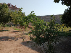 5.5 sot torpaq satış, Buzovna q., Xəzər r., Bakı ş. / şəkil 4 / 13
