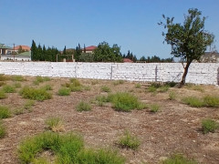 11 sot torpaq satış, Buzovna q., Xəzər r., Bakı ş. / şəkil 4 / 10