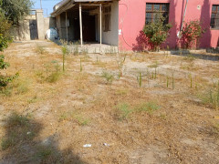 3 otaq 160 m² ev / villa satış, Buzovna q., Xəzər r., Bakı ş. / şəkil 3 / 10