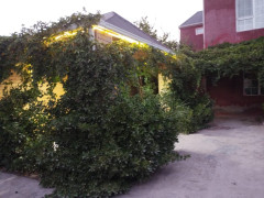 9 otaq 325 m² ev / villa satış, Buzovna q., Xəzər r., Bakı ş. / şəkil 2 / 14