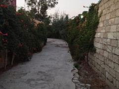 9 otaq 325 m² ev / villa satış, Buzovna q., Xəzər r., Bakı ş. / şəkil 3 / 14