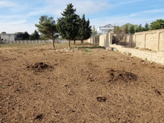 134 sot torpaq satış, Mərdəkan q., Xəzər r., Bakı ş. / şəkil 4 / 5