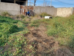 29 sot torpaq satış, Mərdəkan q., Xəzər r., Bakı ş. / şəkil 1 / 6