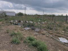 2400 sot torpaq satış, Buzovna q., Xəzər r., Bakı ş. / şəkil 2 / 11