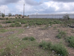 2400 sot torpaq satış, Buzovna q., Xəzər r., Bakı ş. / şəkil 5 / 11