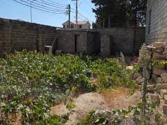 7 otaq 250 m² ev / villa satış, Albalılıq q., Sabunçu r., Bakı ş. / şəkil 5 / 5