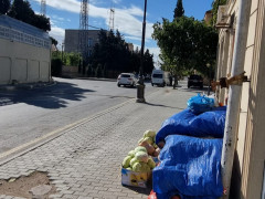 1 otaq 70 m² obyekt satış, Buzovna q., Xəzər r., Bakı ş. / şəkil 2 / 8