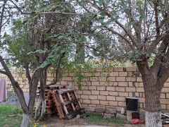 5 otaq 139.9 m² ev / villa satış, Bilgəh q., Sabunçu r., Bakı ş. / şəkil 3 / 14