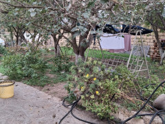 5 otaq 139.9 m² ev / villa satış, Bilgəh q., Sabunçu r., Bakı ş. / şəkil 5 / 14