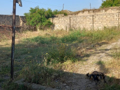 3 otaq 125 m² ev / villa satış, Bilgəh q., Sabunçu r., Bakı ş. / şəkil 4 / 10