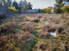 15 sot torpaq satış, Maştağa q., Sabunçu r., Bakı ş. / şəkil 3 / 5