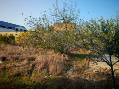 15 sot torpaq satış, Maştağa q., Sabunçu r., Bakı ş. / şəkil 2 / 5