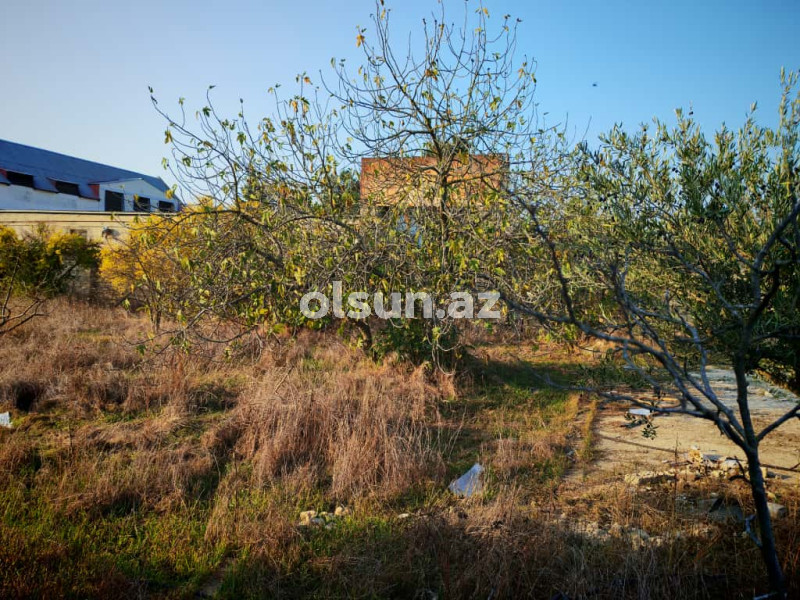 14.9 sot torpaq satış, Maştağa q., Sabunçu r., Bakı ş. / şəkil 1 / 5