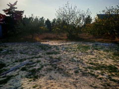 14.9 sot torpaq satış, Maştağa q., Sabunçu r., Bakı ş. / şəkil 4 / 5