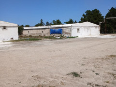 1800 sot torpaq satış, Buzovna q., Xəzər r., Bakı ş. / şəkil 4 / 12