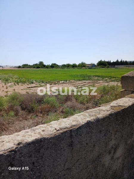 1800 sot torpaq satış, Buzovna q., Xəzər r., Bakı ş. / şəkil 1 / 18