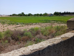 1800 sot torpaq satış, Buzovna q., Xəzər r., Bakı ş. / şəkil 1 / 18