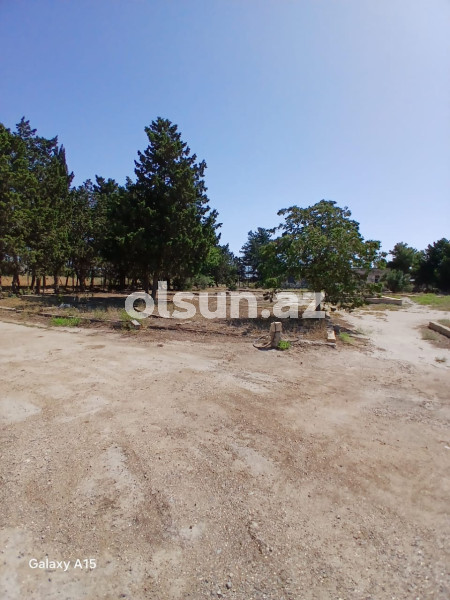 1800 sot torpaq satış, Buzovna q., Xəzər r., Bakı ş. / şəkil 1 / 12