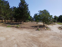 1800 sot torpaq satış, Buzovna q., Xəzər r., Bakı ş. / şəkil 1 / 12