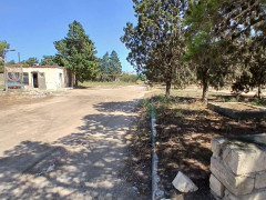 1800 sot torpaq satış, Buzovna q., Xəzər r., Bakı ş. / şəkil 4 / 12