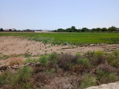 1800 sot torpaq satış, Buzovna q., Xəzər r., Bakı ş. / şəkil 5 / 12