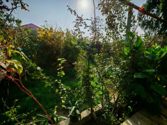 3 otaq 80 m² ev / villa satış, Maştağa q., Sabunçu r., Bakı ş. / şəkil 3 / 10