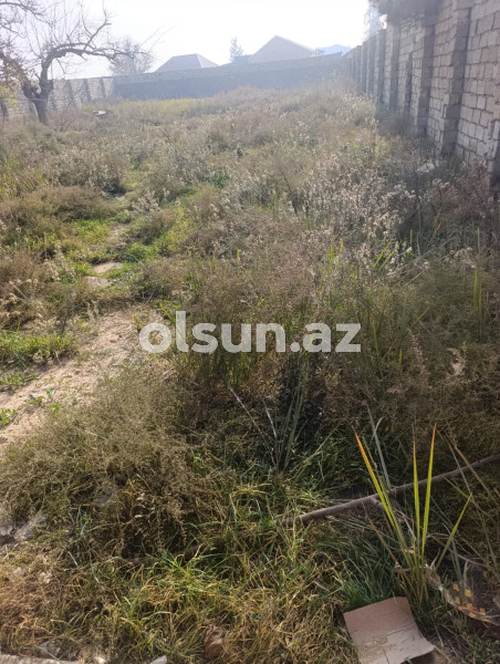 12 sot torpaq satış, Maştağa q., Sabunçu r., Bakı ş. / şəkil 1 / 4