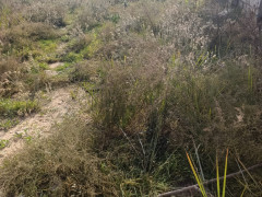 12 sot torpaq satış, Maştağa q., Sabunçu r., Bakı ş. / şəkil 1 / 4