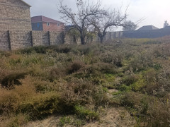 12 sot torpaq satış, Maştağa q., Sabunçu r., Bakı ş. / şəkil 2 / 4