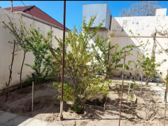 3 otaq 100 m² ev / villa satış, Maştağa q., Sabunçu r., Bakı ş. / şəkil 2 / 12