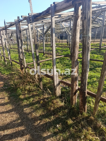 10 sot torpaq satış, Maştağa q., Sabunçu r., Bakı ş. / şəkil 1 / 8