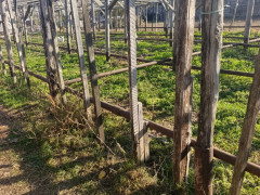 10 sot torpaq satış, Maştağa q., Sabunçu r., Bakı ş. / şəkil 1 / 8