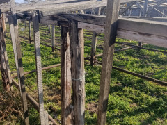 10 sot torpaq satış, Maştağa q., Sabunçu r., Bakı ş. / şəkil 2 / 8