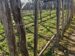 10 sot torpaq satış, Maştağa q., Sabunçu r., Bakı ş. / şəkil 5 / 8