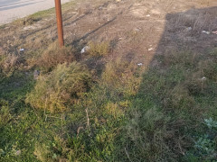 6 sot torpaq satış, Savalan q., Sabunçu r., Bakı ş. / şəkil 1 / 5