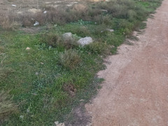 6 sot torpaq satış, Savalan q., Sabunçu r., Bakı ş. / şəkil 2 / 5