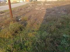 6 sot torpaq satış, Savalan q., Sabunçu r., Bakı ş. / şəkil 3 / 5