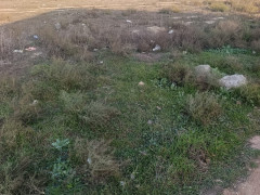 6 sot torpaq satış, Savalan q., Sabunçu r., Bakı ş. / şəkil 4 / 5