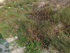 3 sot torpaq satış, Savalan q., Sabunçu r., Bakı ş. / şəkil 5 / 6