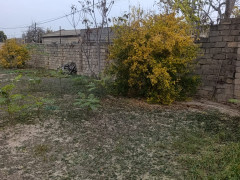 7 sot torpaq satış, Maştağa q., Sabunçu r., Bakı ş. / şəkil 3 / 6