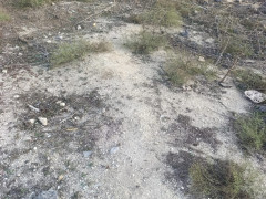 12 sot torpaq satış, Savalan q., Sabunçu r., Bakı ş. / şəkil 4 / 7